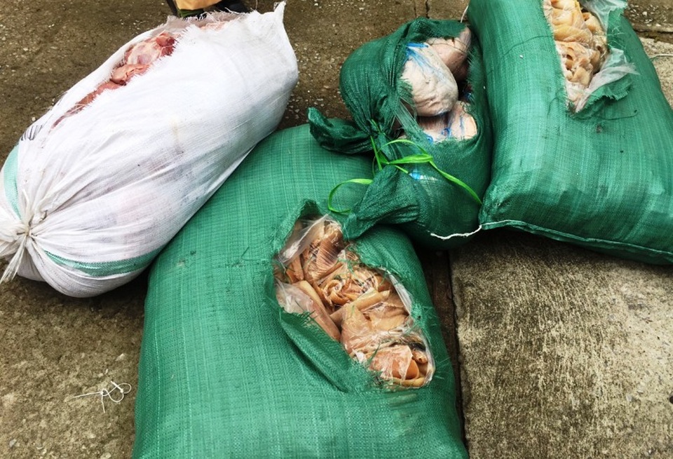 Phát hiện 2,6 tạ thịt, da lợn đã bốc mùi “làm thượng đế” trên xe khách - 2 Phát hiện 2,6 tạ thịt, da lợn đã bốc mùi “làm thượng đế” trên xe khách - 2