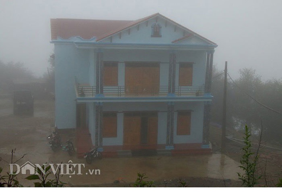 Vua táo mèo giàu bất ngờ, biệt thự to trên núi, mỗi năm thu tiền tỷ - 4 Vua táo mèo giàu bất ngờ, biệt thự to trên núi, mỗi năm thu tiền tỷ - 4