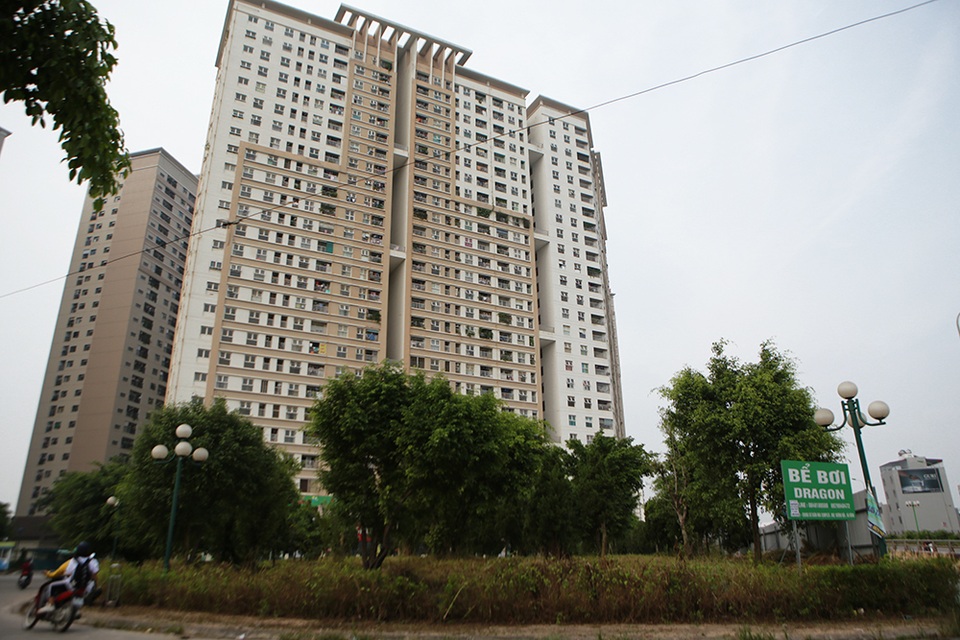 Hà Nội: Phát quang bụi rậm ở khu chung cư từng xuất hiện nhiều rắn độc - 1 Hà Nội: Phát quang bụi rậm ở khu chung cư từng xuất hiện nhiều rắn độc - 1