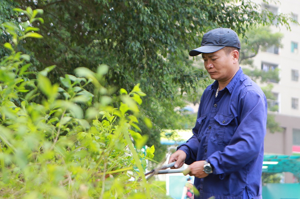 Hà Nội: Phát quang bụi rậm ở khu chung cư từng xuất hiện nhiều rắn độc - 6 Hà Nội: Phát quang bụi rậm ở khu chung cư từng xuất hiện nhiều rắn độc - 6