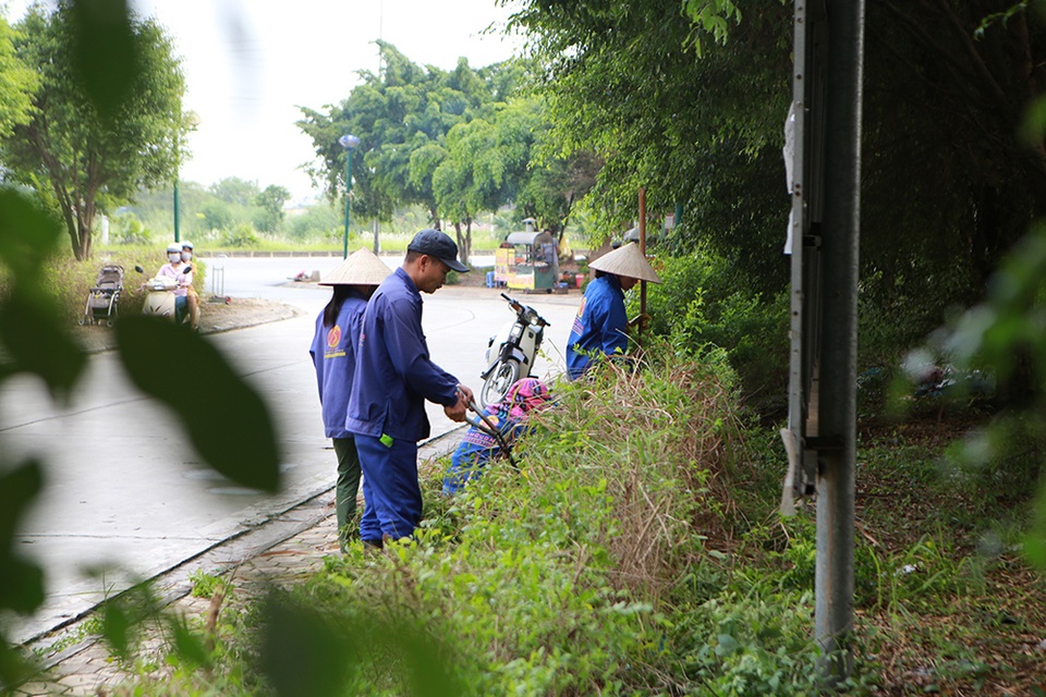 Hà Nội: Phát quang bụi rậm ở khu chung cư từng xuất hiện nhiều rắn độc - 5 Hà Nội: Phát quang bụi rậm ở khu chung cư từng xuất hiện nhiều rắn độc - 5