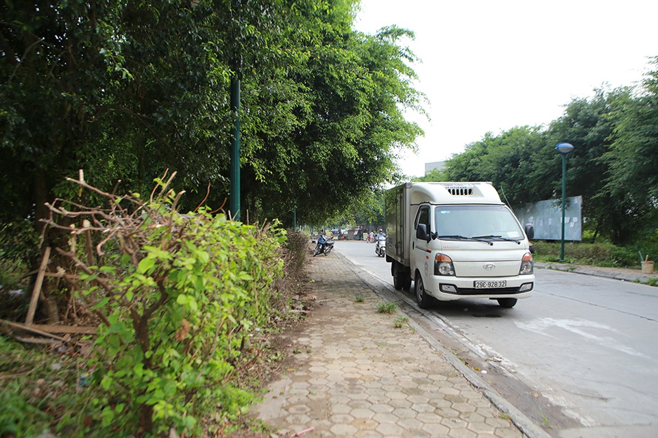 Hà Nội: Phát quang bụi rậm ở khu chung cư từng xuất hiện nhiều rắn độc - 10 Hà Nội: Phát quang bụi rậm ở khu chung cư từng xuất hiện nhiều rắn độc - 10