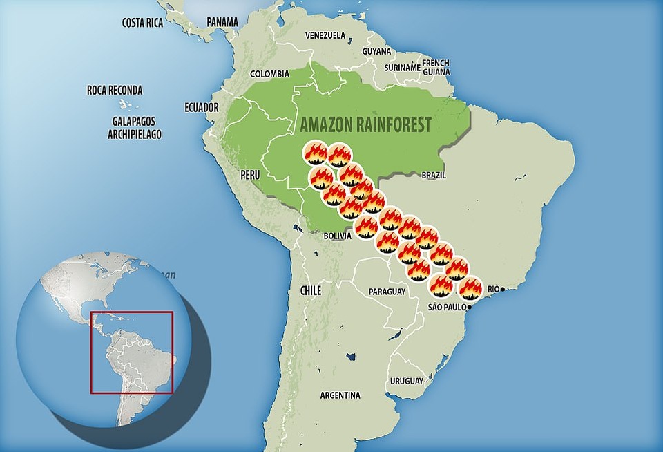 Bức ảnh phản ánh tình trạng hỏa hoạn khủng khiếp tàn phá lá phổi xanh Amazon - 5