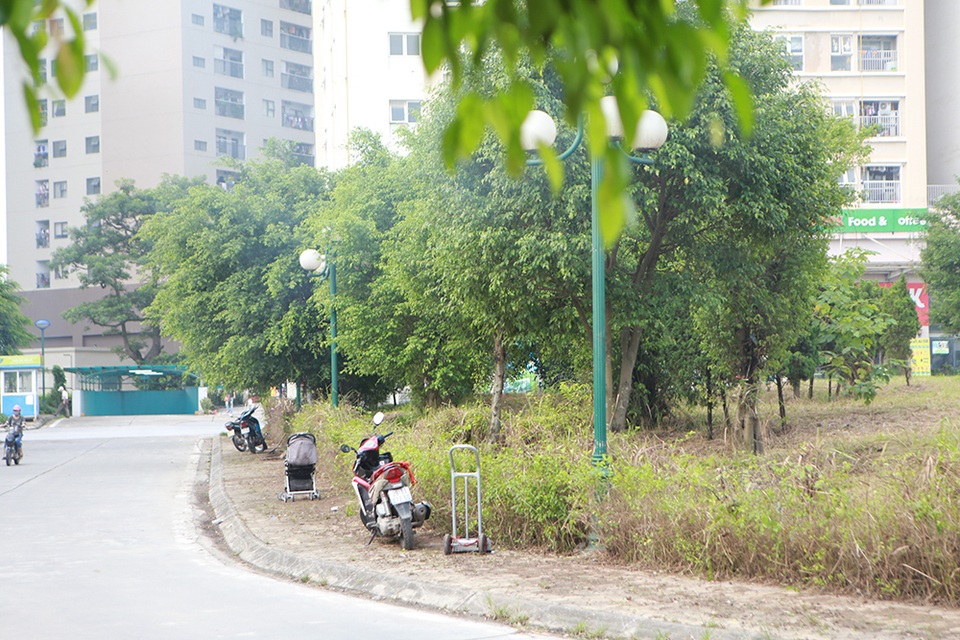 Hà Nội: Phát quang bụi rậm ở khu chung cư từng xuất hiện nhiều rắn độc - 3 Hà Nội: Phát quang bụi rậm ở khu chung cư từng xuất hiện nhiều rắn độc - 3