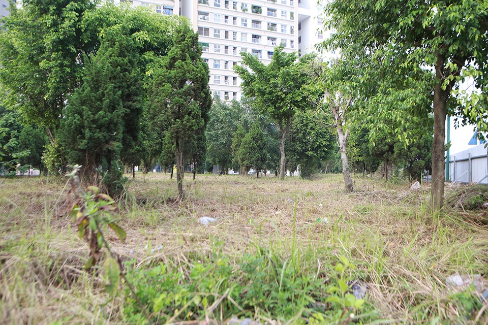 Hà Nội: Phát quang bụi rậm ở khu chung cư từng xuất hiện nhiều rắn độc - 4 Hà Nội: Phát quang bụi rậm ở khu chung cư từng xuất hiện nhiều rắn độc - 4