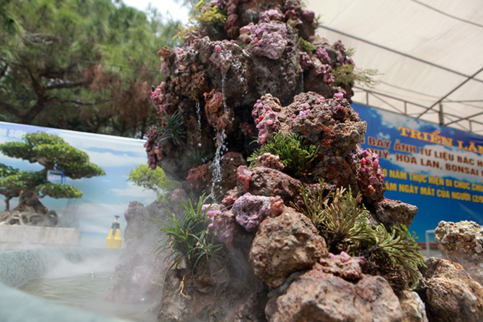 Tích góp đá quý nhiều năm rồi làm hòn non bộ khổng lồ, rao bán 2 tỷ đồng - 11 Tích góp đá quý nhiều năm rồi làm hòn non bộ khổng lồ, rao bán 2 tỷ đồng - 11