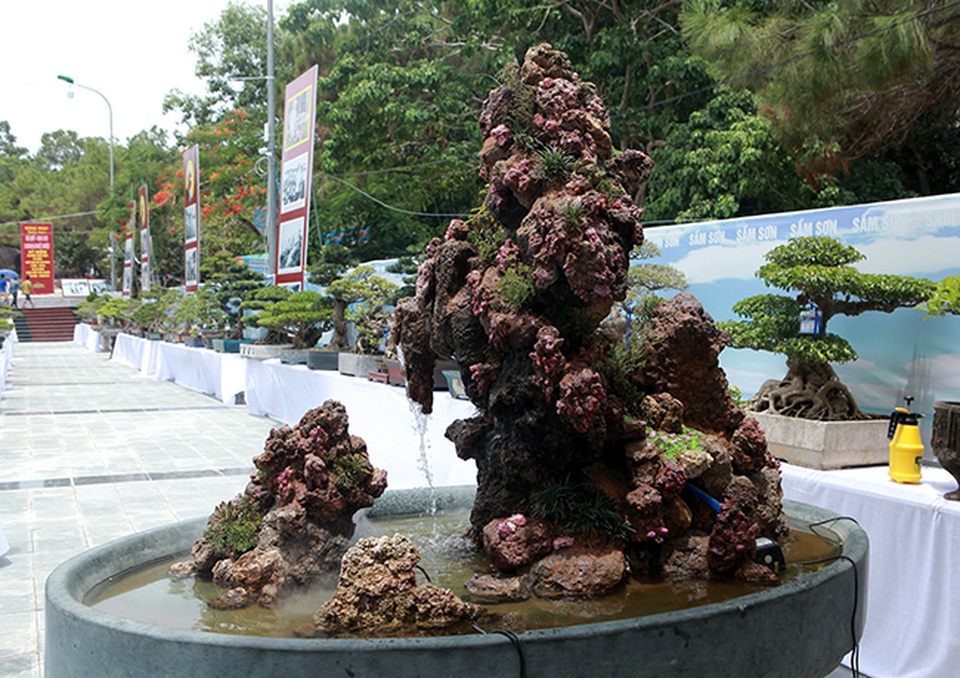 Tích góp đá quý nhiều năm rồi làm hòn non bộ khổng lồ, rao bán 2 tỷ đồng - 12 Tích góp đá quý nhiều năm rồi làm hòn non bộ khổng lồ, rao bán 2 tỷ đồng - 12