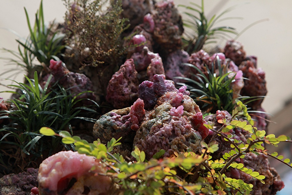 Tích góp đá quý nhiều năm rồi làm hòn non bộ khổng lồ, rao bán 2 tỷ đồng - 14 Tích góp đá quý nhiều năm rồi làm hòn non bộ khổng lồ, rao bán 2 tỷ đồng - 14