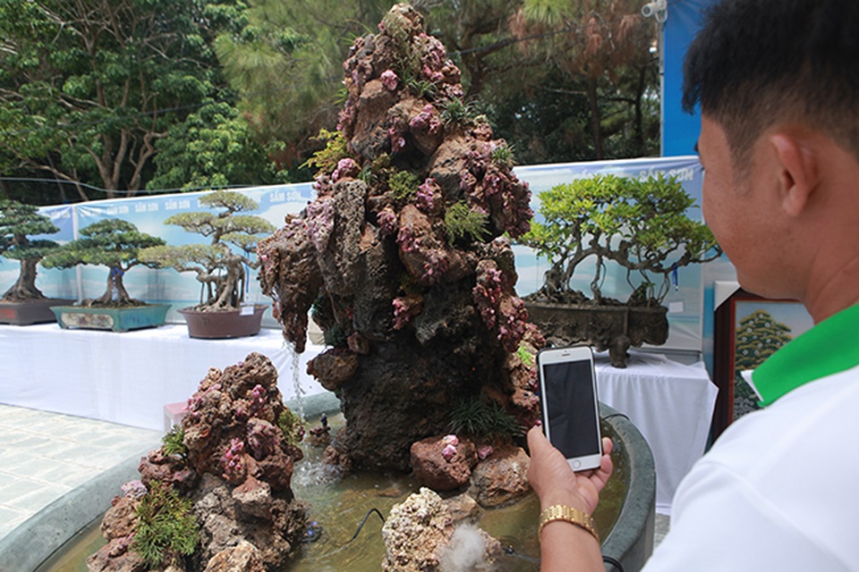 Tích góp đá quý nhiều năm rồi làm hòn non bộ khổng lồ, rao bán 2 tỷ đồng - 18 Tích góp đá quý nhiều năm rồi làm hòn non bộ khổng lồ, rao bán 2 tỷ đồng - 18