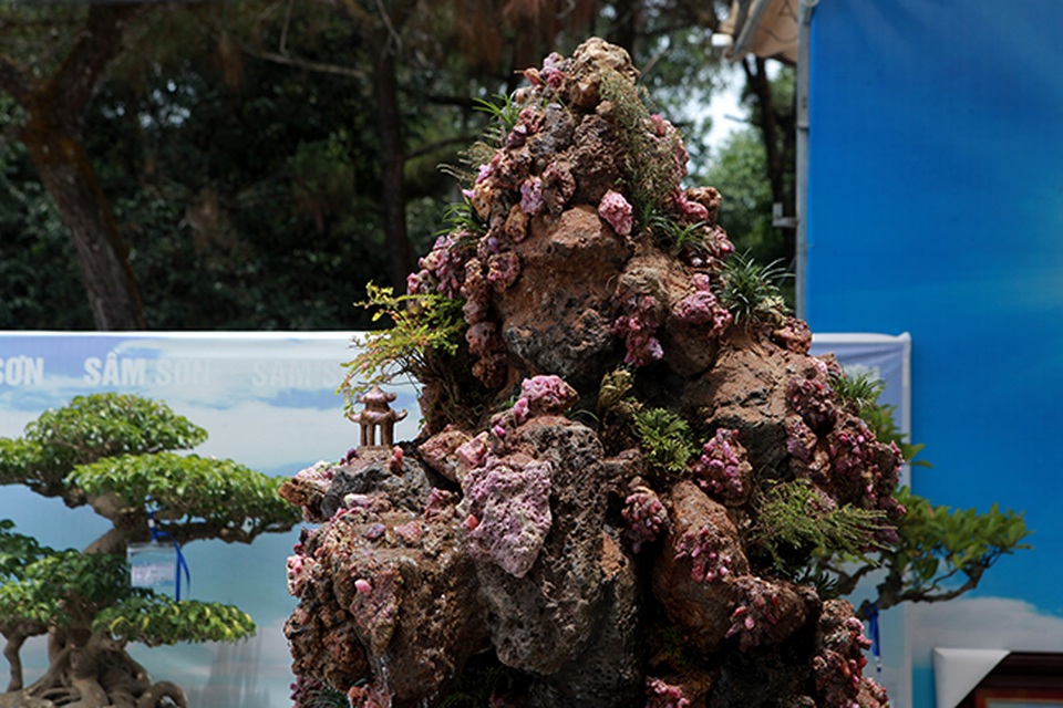 Tích góp đá quý nhiều năm rồi làm hòn non bộ khổng lồ, rao bán 2 tỷ đồng - 5 Tích góp đá quý nhiều năm rồi làm hòn non bộ khổng lồ, rao bán 2 tỷ đồng - 5