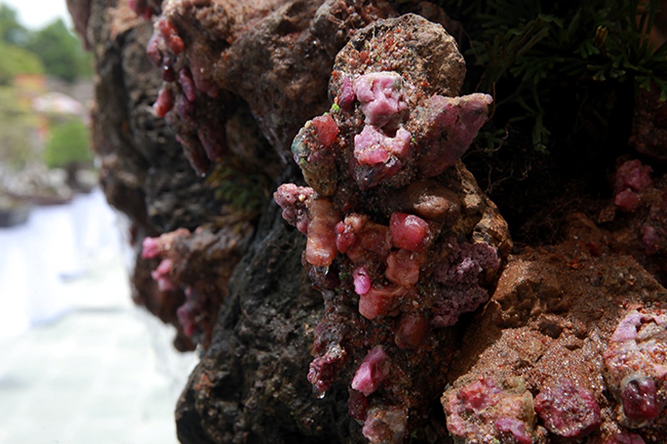 Tích góp đá quý nhiều năm rồi làm hòn non bộ khổng lồ, rao bán 2 tỷ đồng - 6 Tích góp đá quý nhiều năm rồi làm hòn non bộ khổng lồ, rao bán 2 tỷ đồng - 6