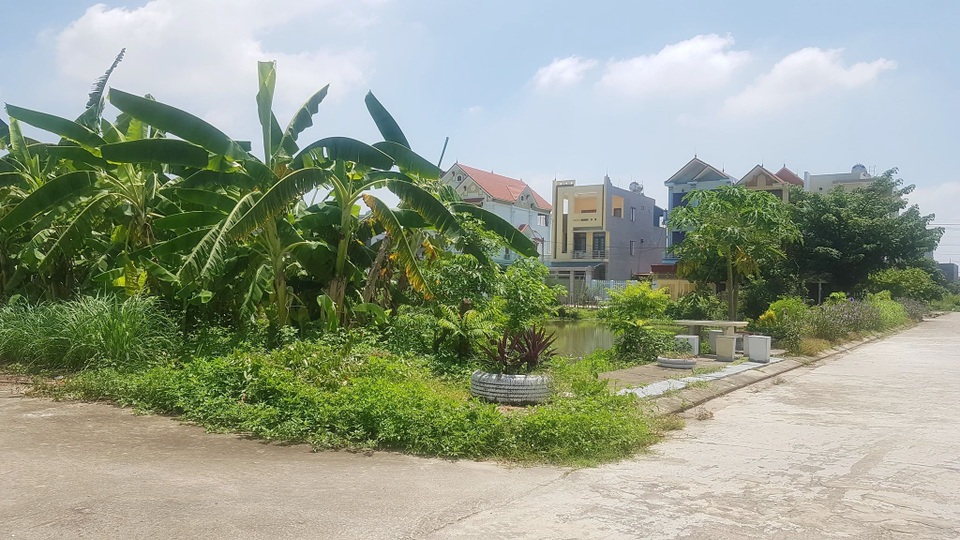 UBND thành phố Ninh Bình quy hoạch “đất công ích” rồi “phân lô bán nền”! - 4 UBND thành phố Ninh Bình quy hoạch “đất công ích” rồi “phân lô bán nền”! - 4
