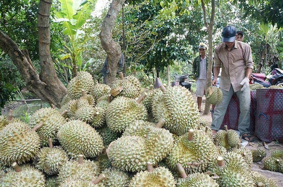 Dựng rào cửa chính, chặn cứng lối nhỏ, tắc đường sang Trung Quốc - 1 Dựng rào cửa chính, chặn cứng lối nhỏ, tắc đường sang Trung Quốc - 1