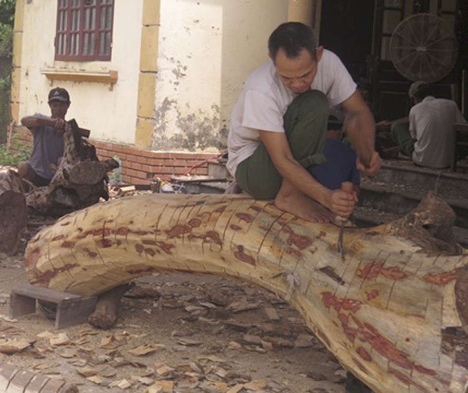 Hà Nội: Số phận lô gỗ sưa trăm tỷ thôn Phụ Chính sắp được định đoạt - 3 Hà Nội: Số phận lô gỗ sưa trăm tỷ thôn Phụ Chính sắp được định đoạt - 3
