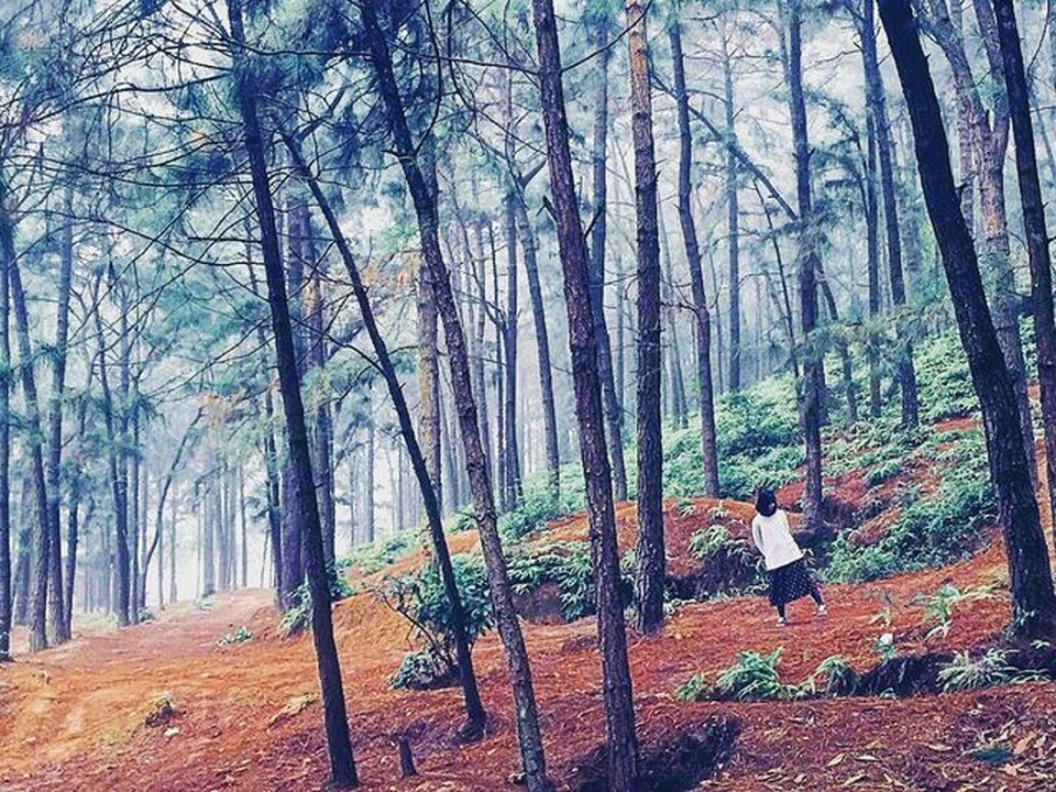 Không cần đi xa, ngay gần Hà Nội cũng có điểm cắm trại “sống ảo” tuyệt đẹp cho dịp nghỉ lễ - 3 Không cần đi xa, ngay gần Hà Nội cũng có điểm cắm trại “sống ảo” tuyệt đẹp cho dịp nghỉ lễ - 3