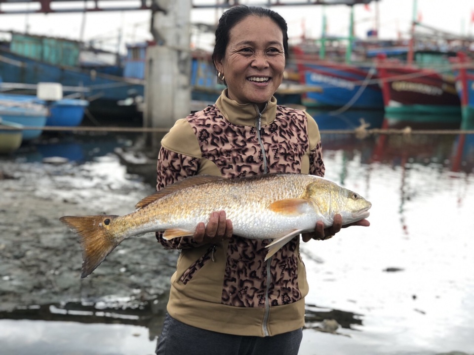 Thêm cặp cá nghi sủ vàng nặng 7kg sa lưới trên sông Loan - 2 Thêm cặp cá nghi sủ vàng nặng 7kg sa lưới trên sông Loan - 2