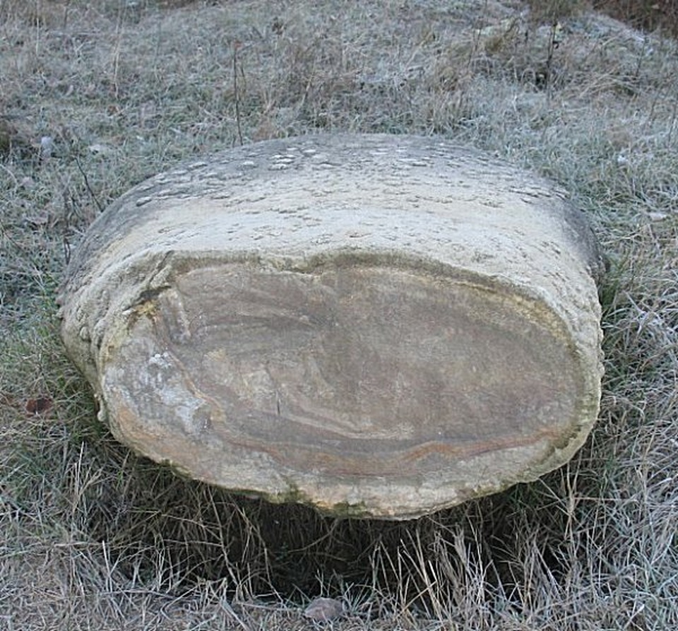 Những tảng đá “sống” biết “mọc thêm” khi trời mưa và tự dịch chuyển - 3