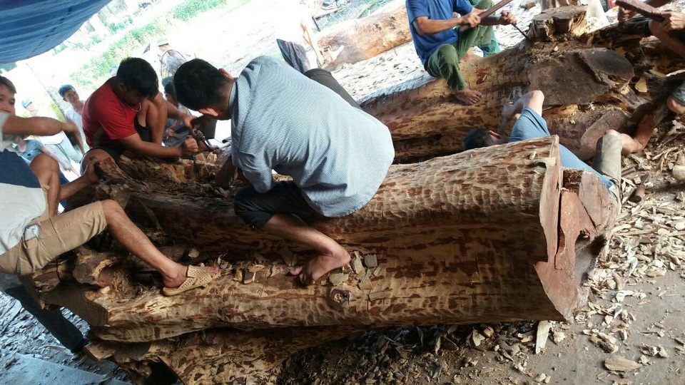 Tiếp tục bán đấu giá lô gỗ sưa trăm tỷ ở Hà Nội - 1 Tiếp tục bán đấu giá lô gỗ sưa trăm tỷ ở Hà Nội - 1