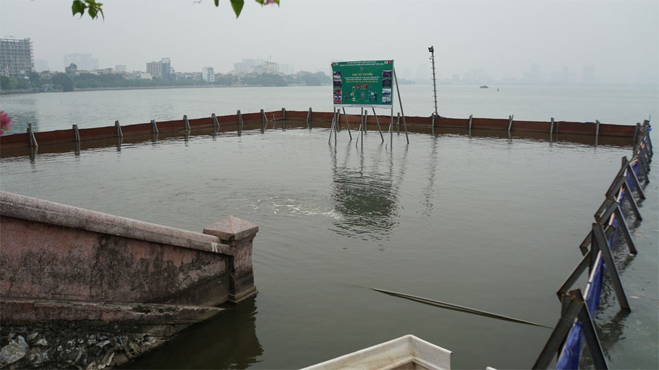 Cá chết nổi bốc mùi hôi thối ở Hồ Tây, hồ Hồ Đắc Di - 11