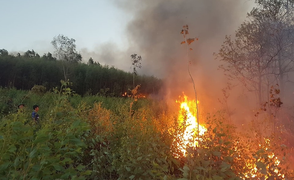 Gần 500 người 2 ngày vật lộn dập đám cháy rừng ở Phú Yên - 3