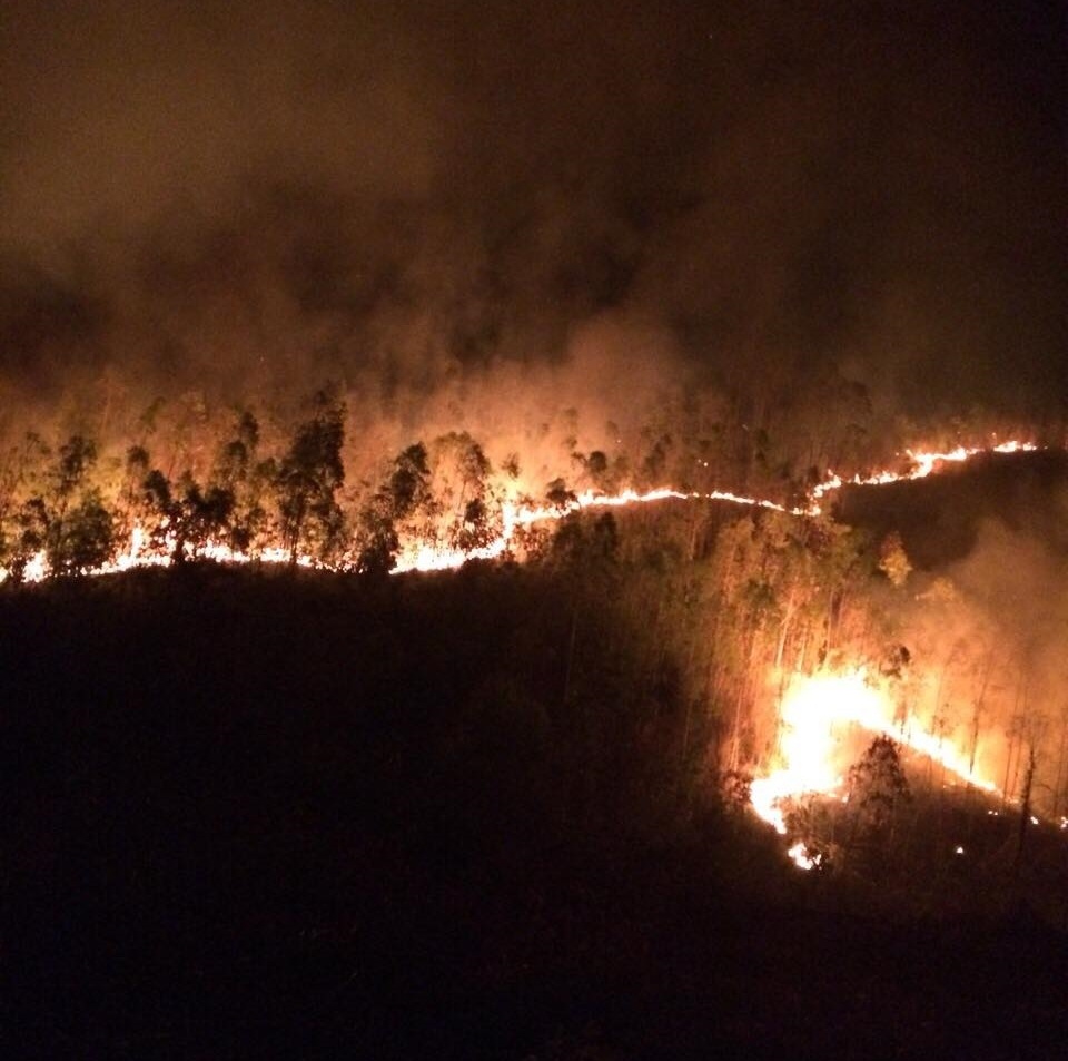 Gần 500 người 2 ngày vật lộn dập đám cháy rừng ở Phú Yên - 1