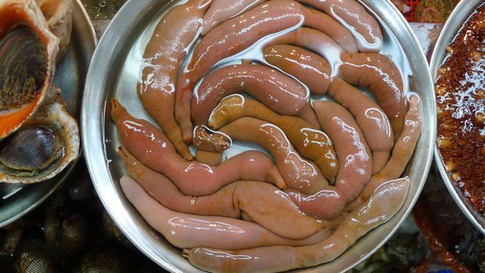Những món ăn sống “kinh dị” nhất thế giới, Việt Nam cũng góp mặt - 5 Những món ăn sống “kinh dị” nhất thế giới, Việt Nam cũng góp mặt - 5