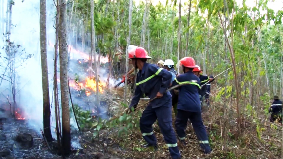 Gần 500 người 2 ngày vật lộn dập đám cháy rừng ở Phú Yên - 2