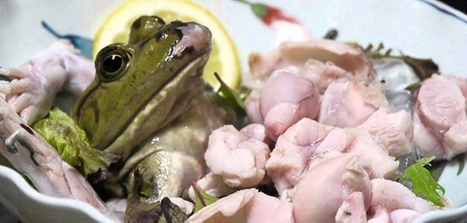 Những món ăn sống “kinh dị” nhất thế giới, Việt Nam cũng góp mặt - 1 Những món ăn sống “kinh dị” nhất thế giới, Việt Nam cũng góp mặt - 1