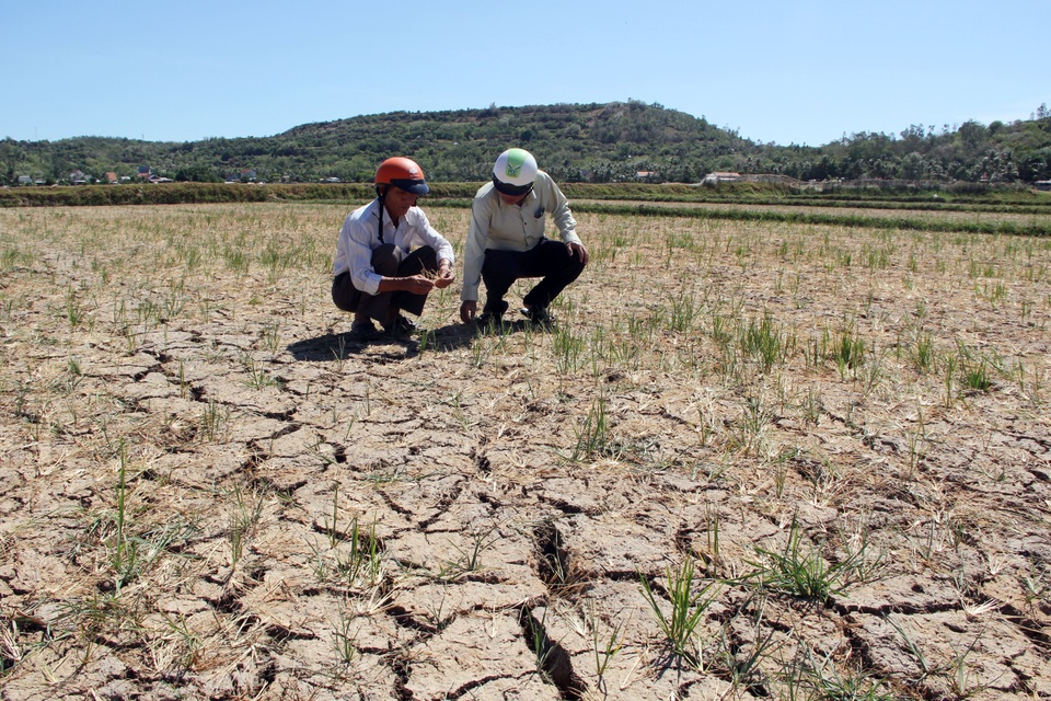 Phú Yên xin hỗ trợ 57 tỷ đồng để “giải khát” cho dân - 3