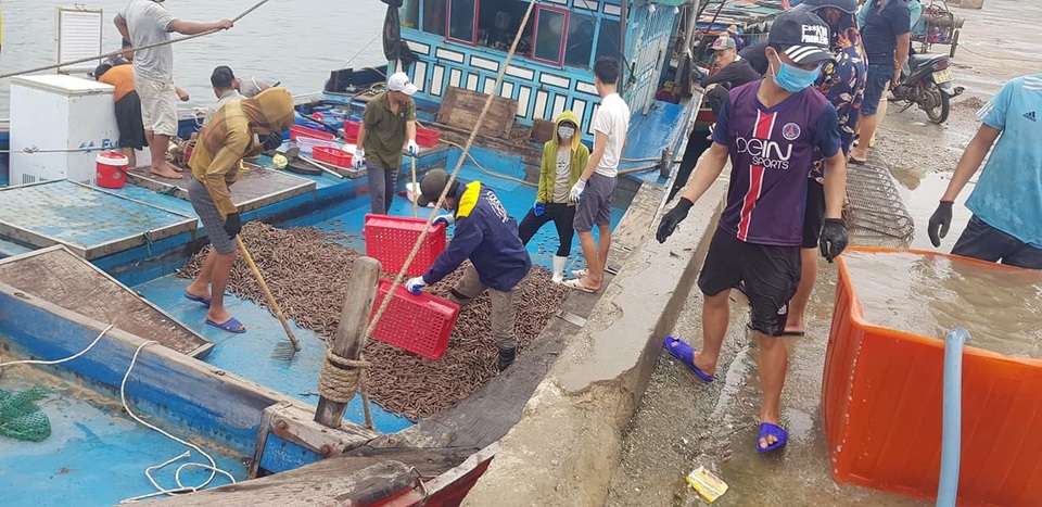 Ngư dân trúng đậm ốc xoắn và sò bi, đút túi hàng triệu đồng/chuyến ra biển - 4 Ngư dân trúng đậm ốc xoắn và sò bi, đút túi hàng triệu đồng/chuyến ra biển - 4
