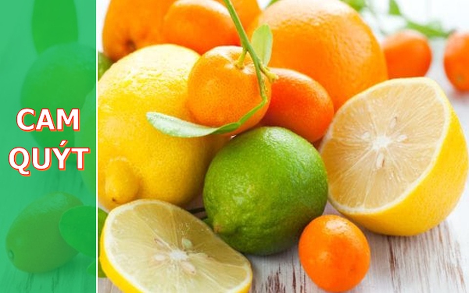 Cẩm nang bảo quản thực phẩm dành cho các bà nội trợ Việt - 4 Cẩm nang bảo quản thực phẩm dành cho các bà nội trợ Việt - 4