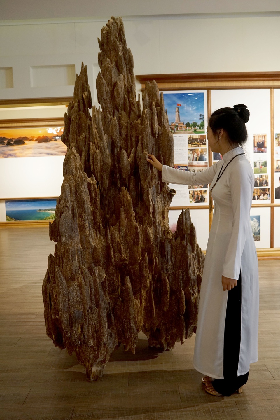 Bảo tàng trầm hương.JPG Bảo tàng trầm hương.JPG