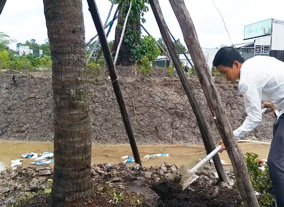 Chiêm ngưỡng cây dừa “lạ” có nhiều ngọn trông như bàn tay người - 5 Chiêm ngưỡng cây dừa “lạ” có nhiều ngọn trông như bàn tay người - 5