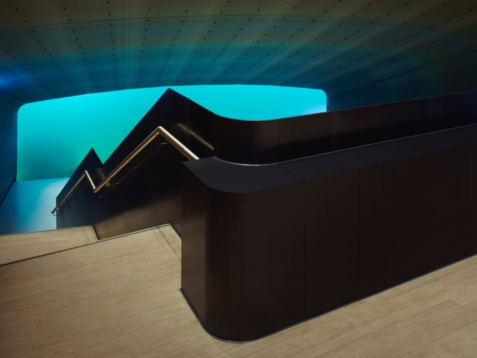 Bên trong nhà hàng dưới nước lớn nhất thế giới ở Na Uy - 4