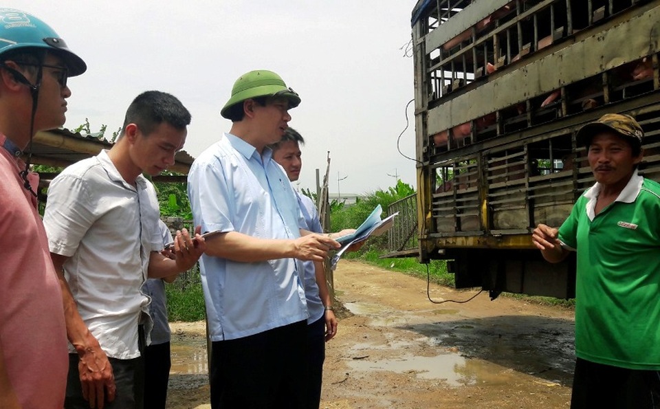 Giám đốc Sở nông nghiệp Thanh Hóa “đột kích” cơ sở giết mổ lợn giữa thành phố - 1 Giám đốc Sở nông nghiệp Thanh Hóa “đột kích” cơ sở giết mổ lợn giữa thành phố - 1