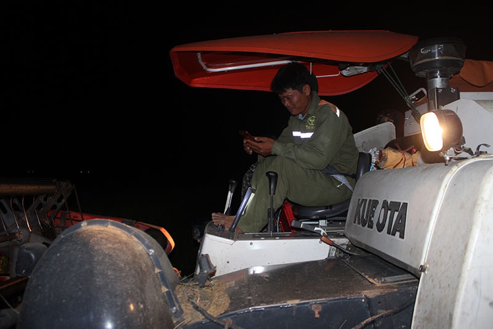 Nông dân gặt đêm “chạy” bão số 4 - 3