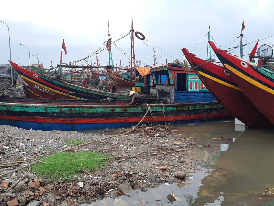 Tìm mọi cách để ứng phó khi bão số 4 sắp đổ bộ - 8 Tìm mọi cách để ứng phó khi bão số 4 sắp đổ bộ - 8