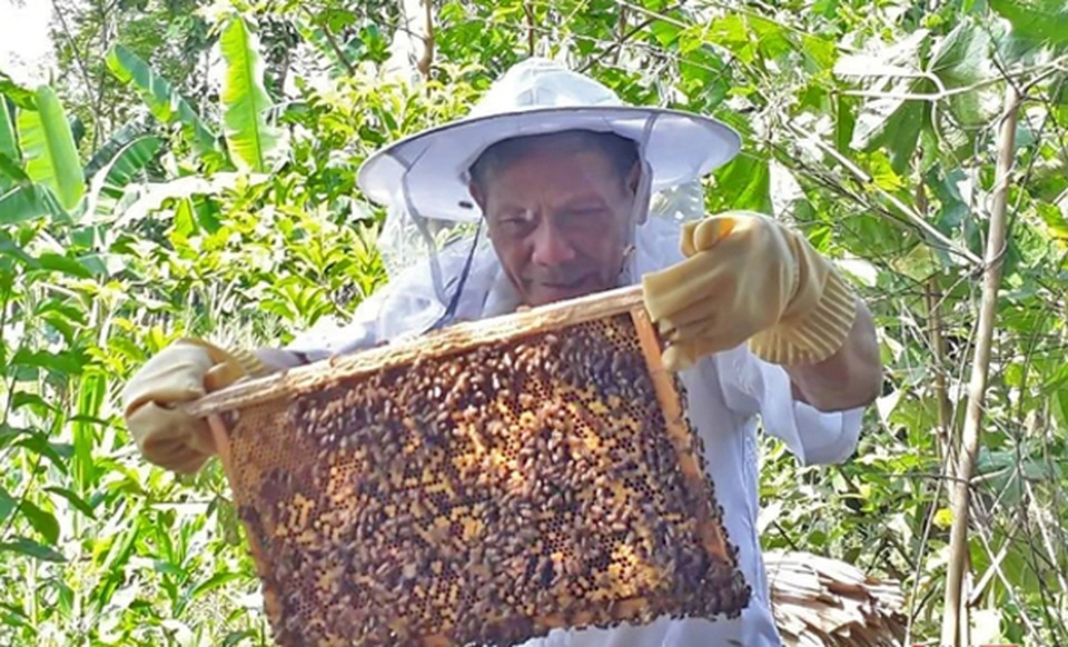 Hà Tĩnh: Vinh danh hơn 900 gương điển hình về học tập và làm theo lời Bác - 4