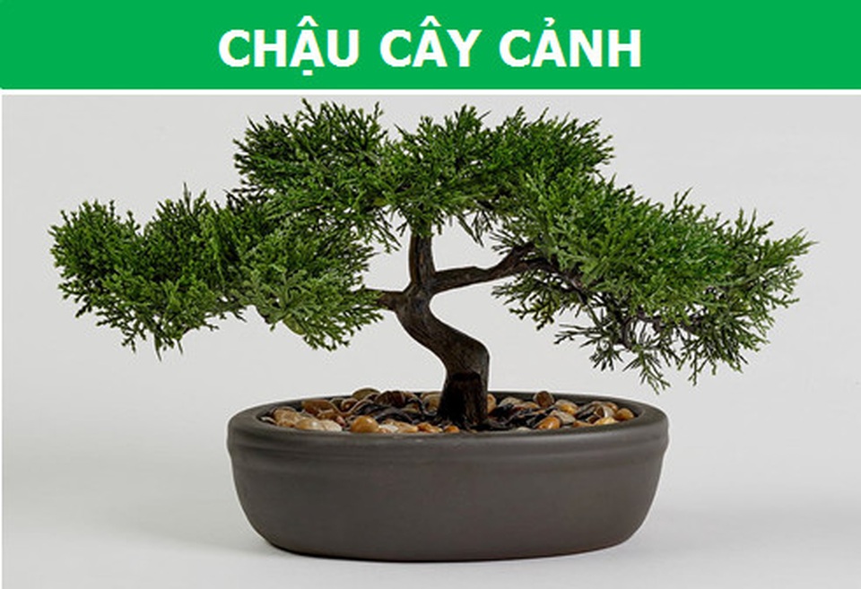 Những nơi cất giữ tài sản bí mật mà ít ai ngờ tới - 3 Những nơi cất giữ tài sản bí mật mà ít ai ngờ tới - 3