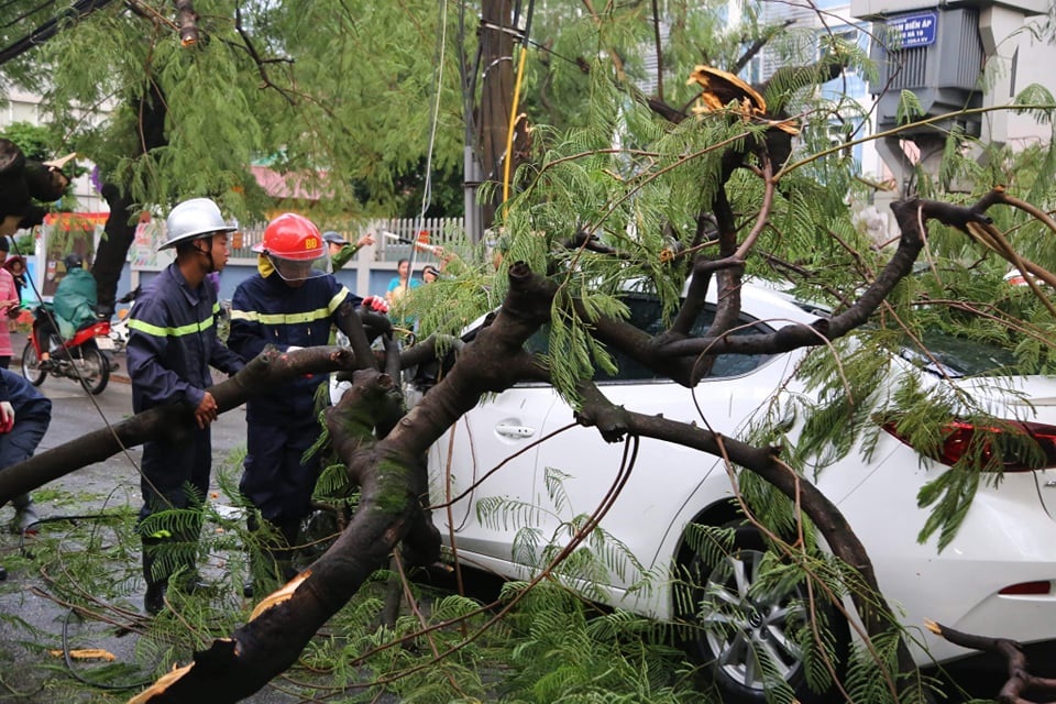 Hà Nội: Cây xanh đổ ngổn ngang, chèn bẹp ô tô, đè chết người trong giông lốc khủng - 5 Hà Nội: Cây xanh đổ ngổn ngang, chèn bẹp ô tô, đè chết người trong giông lốc khủng - 5