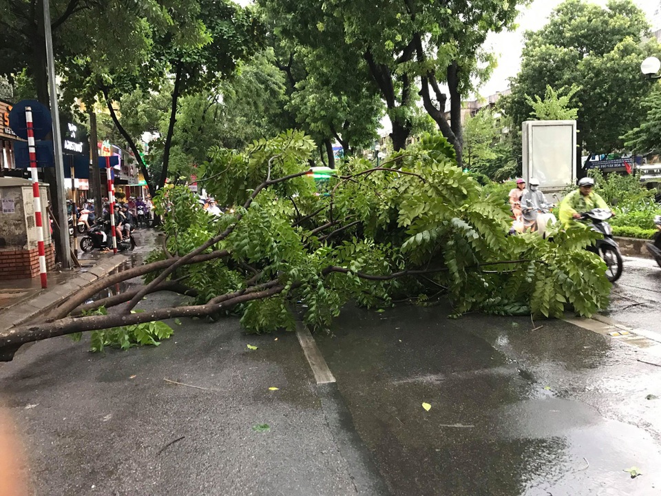 Hà Nội: Cây xanh đổ ngổn ngang, chèn bẹp ô tô, đè chết người trong giông lốc khủng - 3 Hà Nội: Cây xanh đổ ngổn ngang, chèn bẹp ô tô, đè chết người trong giông lốc khủng - 3