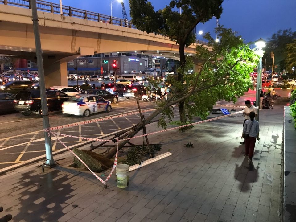 Hà Nội: Cây xanh đổ ngổn ngang, chèn bẹp ô tô, đè chết người trong giông lốc khủng - 13 Hà Nội: Cây xanh đổ ngổn ngang, chèn bẹp ô tô, đè chết người trong giông lốc khủng - 13