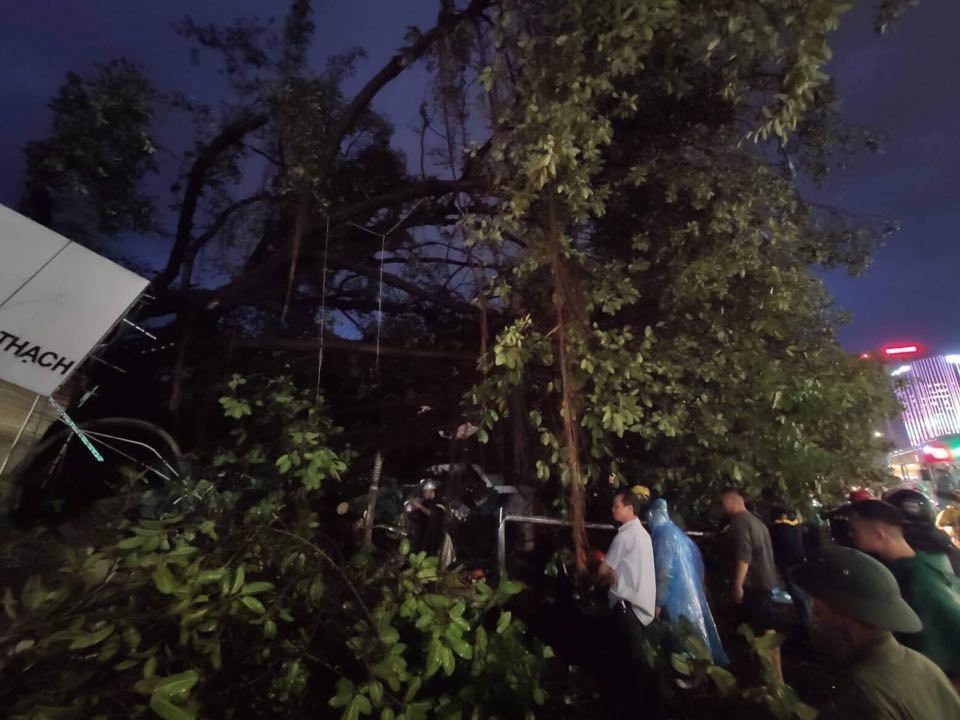Hà Nội: Cây xanh đổ ngổn ngang, chèn bẹp ô tô, đè chết người trong giông lốc khủng - 18 Hà Nội: Cây xanh đổ ngổn ngang, chèn bẹp ô tô, đè chết người trong giông lốc khủng - 18
