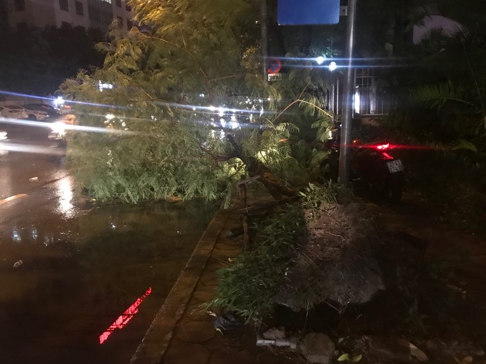 Hà Nội: Cây xanh đổ ngổn ngang, chèn bẹp ô tô, đè chết người trong giông lốc khủng - 21 Hà Nội: Cây xanh đổ ngổn ngang, chèn bẹp ô tô, đè chết người trong giông lốc khủng - 21