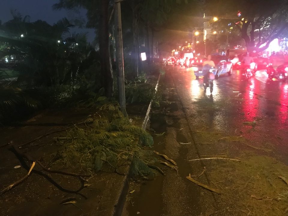 Hà Nội: Cây xanh đổ ngổn ngang, chèn bẹp ô tô, đè chết người trong giông lốc khủng - 20 Hà Nội: Cây xanh đổ ngổn ngang, chèn bẹp ô tô, đè chết người trong giông lốc khủng - 20
