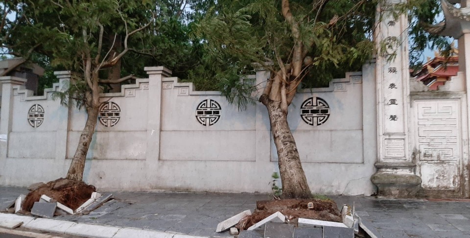 Hà Nội: Cây xanh đổ ngổn ngang, chèn bẹp ô tô, đè chết người trong giông lốc khủng - 6 Hà Nội: Cây xanh đổ ngổn ngang, chèn bẹp ô tô, đè chết người trong giông lốc khủng - 6