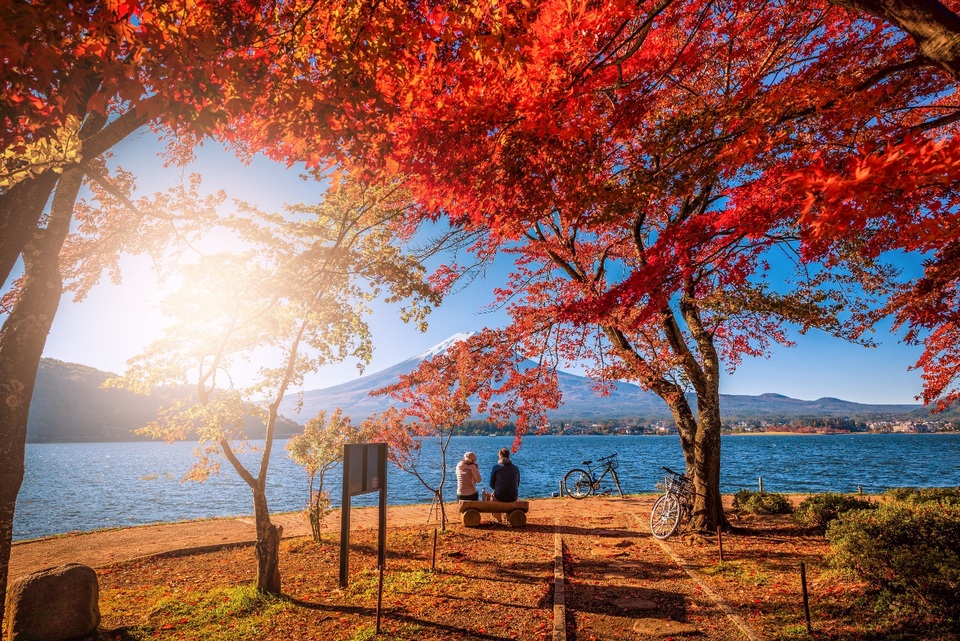 Ưu đãi giá tour đến 10 triệu đồng tại Hội chợ ITE 2019 - 3 Ưu đãi giá tour đến 10 triệu đồng tại Hội chợ ITE 2019 - 3