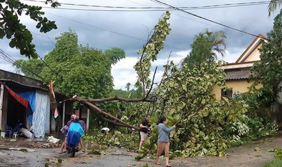 Giông lốc tàn phá hàng chục ngôi nhà, hàng trăm cây xanh - 3 Giông lốc tàn phá hàng chục ngôi nhà, hàng trăm cây xanh - 3