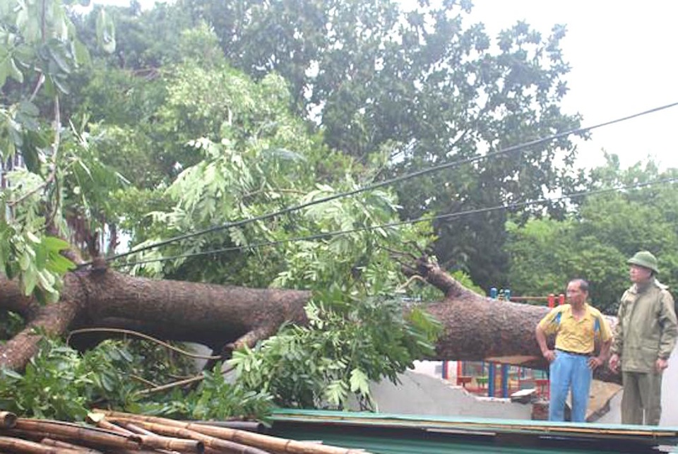 Giông lốc tàn phá hàng chục ngôi nhà, hàng trăm cây xanh - 1 Giông lốc tàn phá hàng chục ngôi nhà, hàng trăm cây xanh - 1
