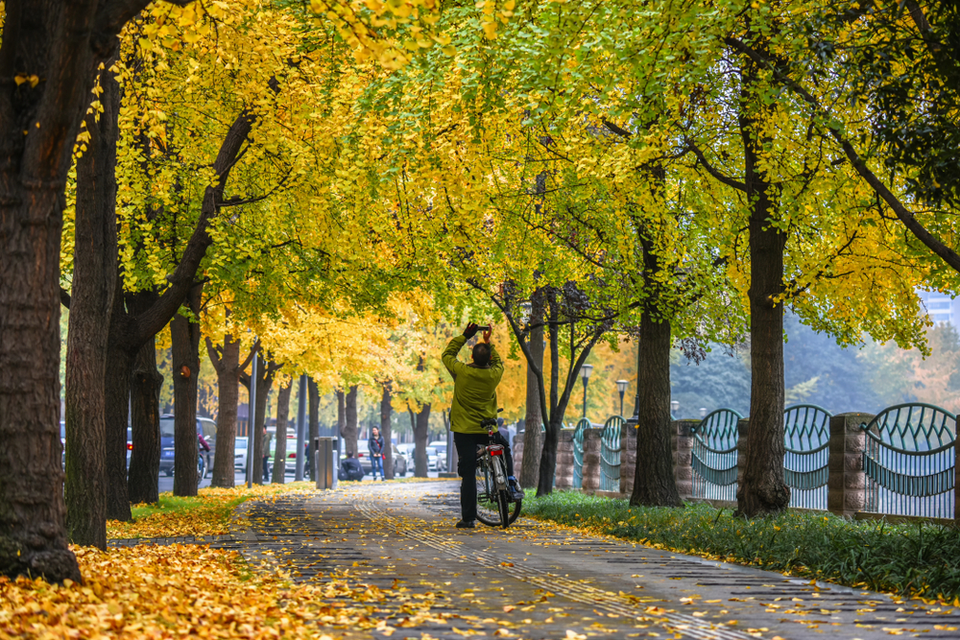 Những điểm hẹn lý tưởng cho người yêu mùa thu - 3